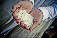 Fotografi Matrimoni Pisa