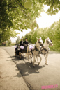 Carrozza per Matrimonio